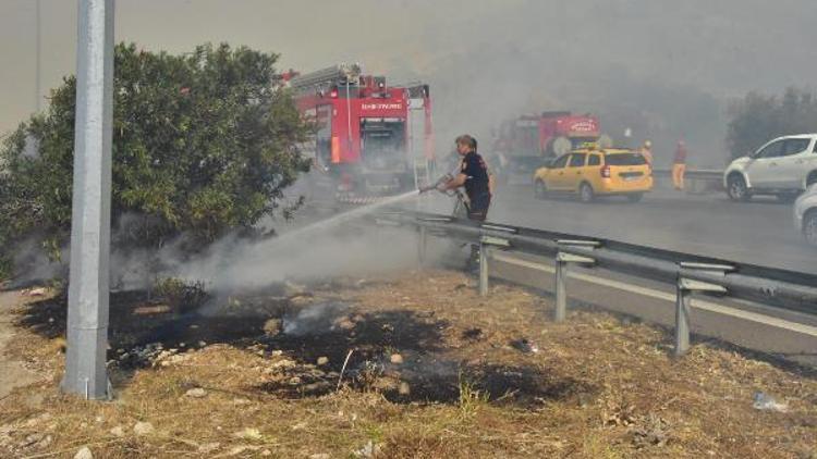 İzmirde otoyol kenarında çıkan orman yangını korkuttu