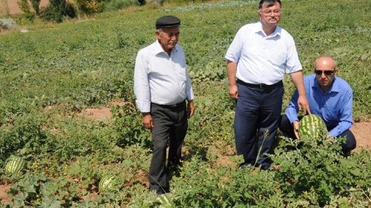 Kaymakam Şahin, bostan tarlasında çiftçilerle