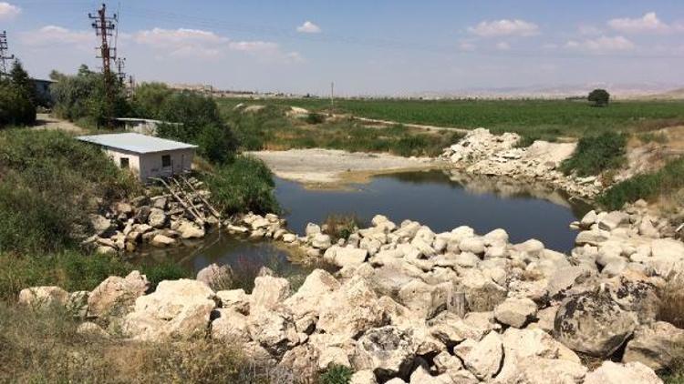 Sakarya Nehrinde 42 gündür su yok, yeşil mahsul tehlikede