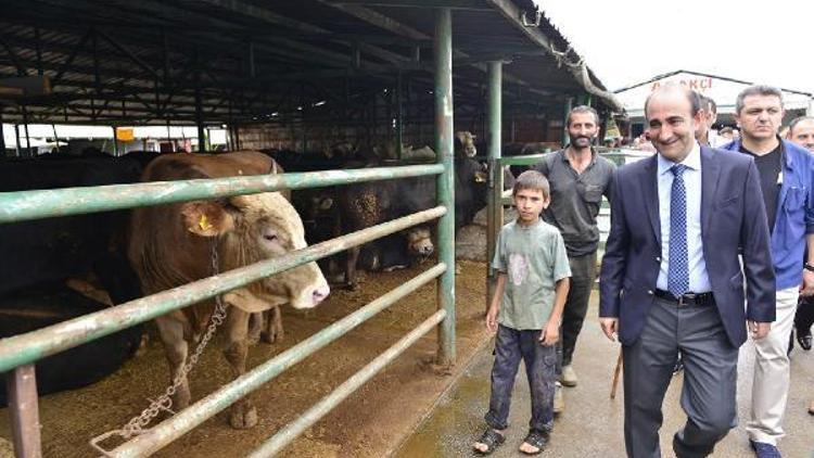 Yıldırım Kurban Bayramı’na hazır