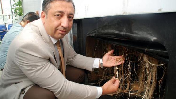 Türkiyede ilk kez topraksız patates tohumunu ürettiler