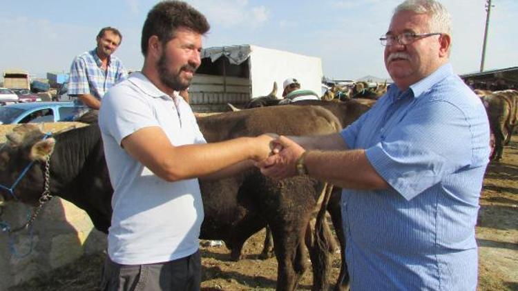 Hayvan pazarında kurban yoğunluğu