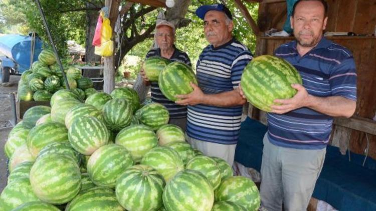 Karpuz para etmeyince tarlada kaldı