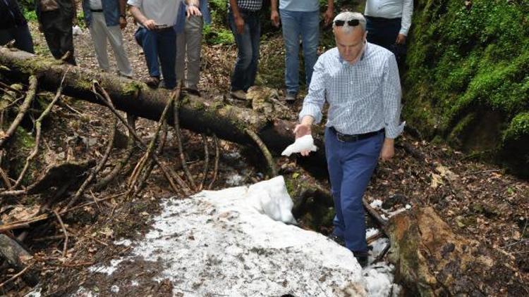 Vali Dirim: Gezen Yaylasına gerekli yatırımlar yapılacak