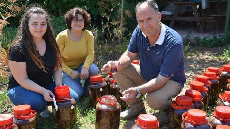 Türkiye’nin ilk Tıbbi Bitkiler Araştırma ve Uygulama Çiftliği, Selçuk’ta