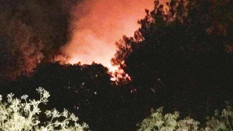 Son dakika: İzmirdeki orman yangınıyla ilgili inanılmaz iddia