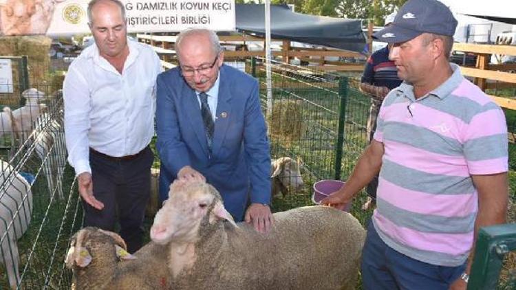 Tekirdağda Karaevli tarım ve teknoloji fuarı açıldı