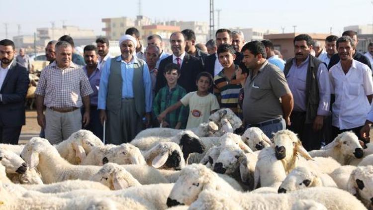 Başkan Çiftçi, Hayvan Pazarını gezdi