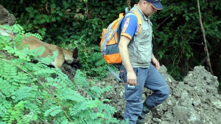 Ormandan gelen kadın çığlığı, polis ve AFADı alarma geçirdi