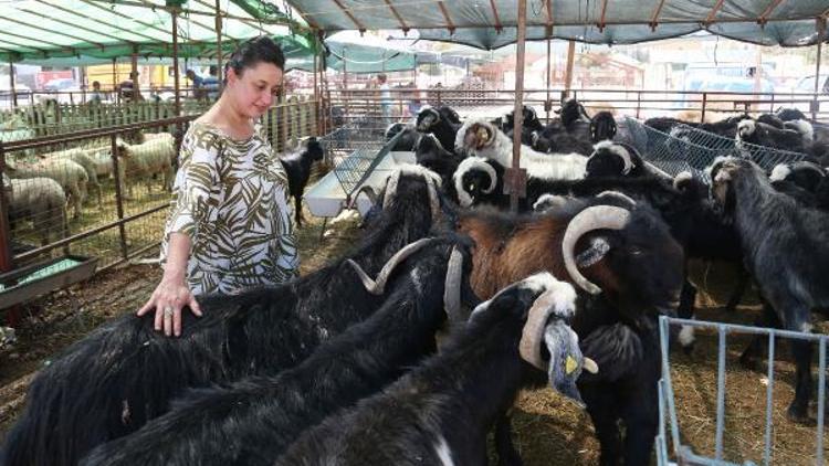 Marketlere kurbanlık eleştirisi