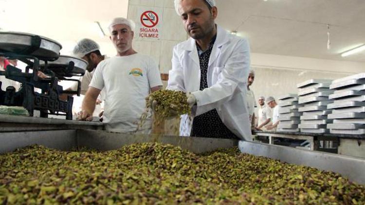 Şanlıurfalı baklavacı, dünyaya açılmak istiyor