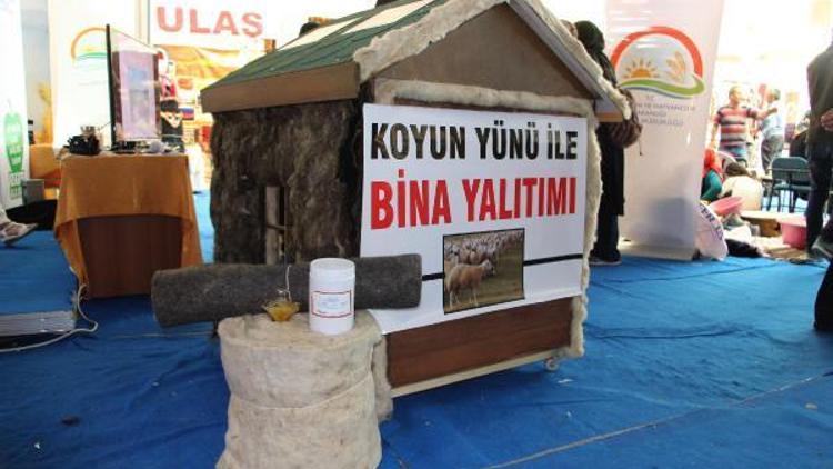 Koyun yününden ısı yalıtım malzemesi