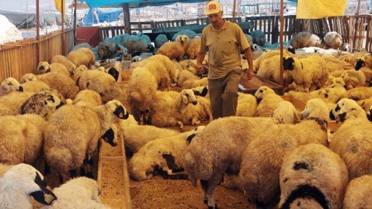 Bornova’da bayram önlemleri alındı