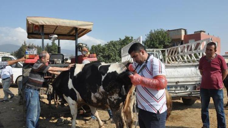 İslahiyede dişi kurbanlık denetimi