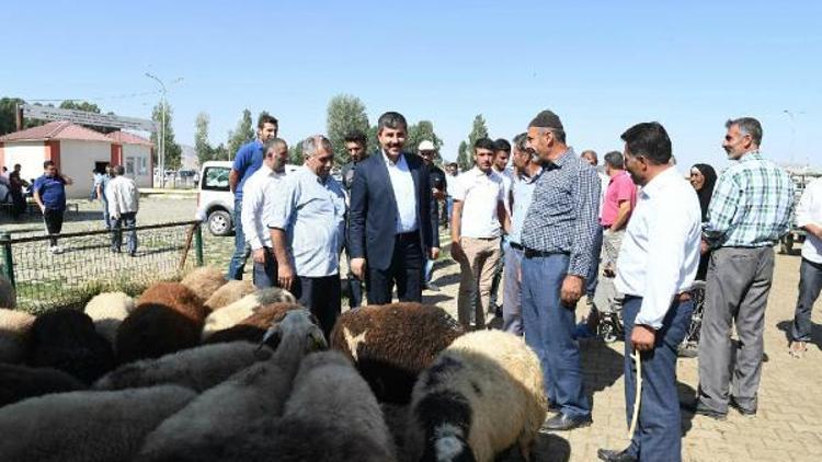 Başkan Asya’dan kurbanlık uyarısı