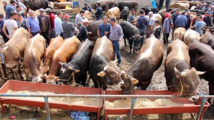 Kurban pazarındaki düzensizlik tepki çekti