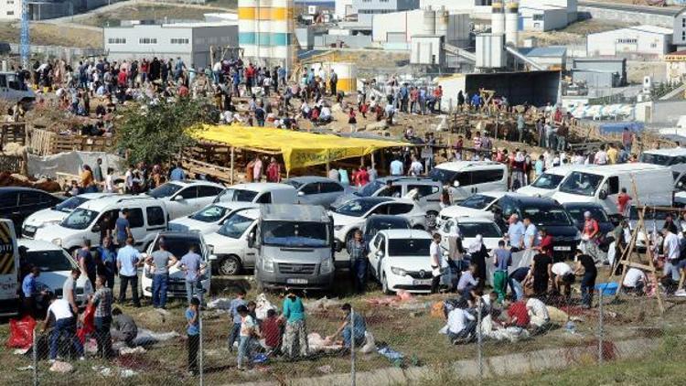 Ek fotoğraflar/ İstanbulda kaçak kurban kesimleri