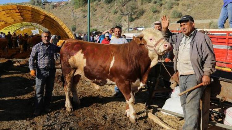 Çankayada bayram sabahı kurban telaşı