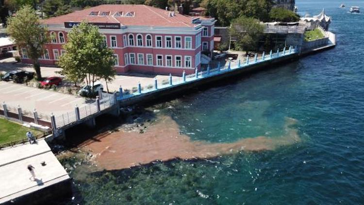 (Ek hava fotoğrafları ) - İstanbul Boğazına yine kurban kanı aktı