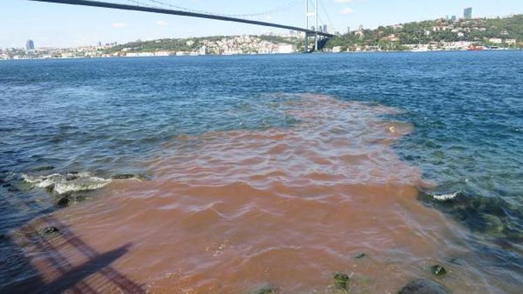 İstanbul Boğazına yine kurban kanı aktı