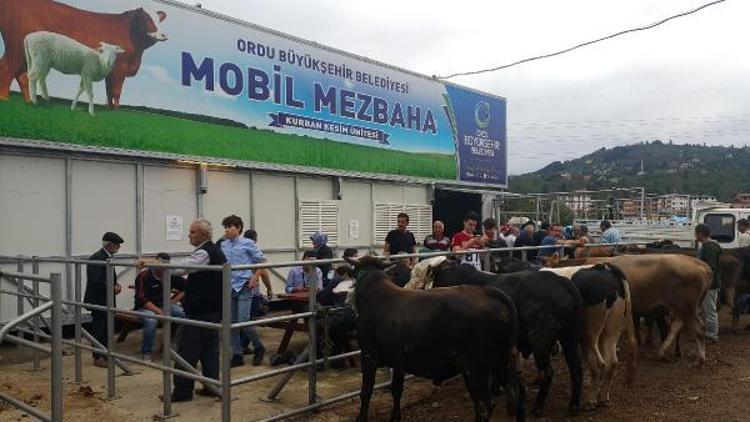 Ordu’da kurban keserken 11 kişi yaralandı