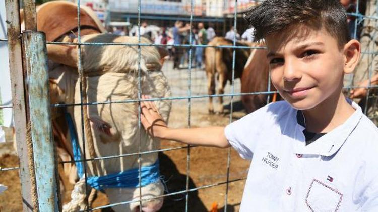 Bağcılarda Kurban Bayramı için 861 personel görev yapıyor