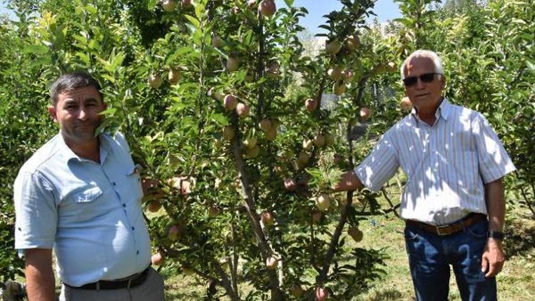 Gömbe Yaylası ziyaretçileri bekliyor