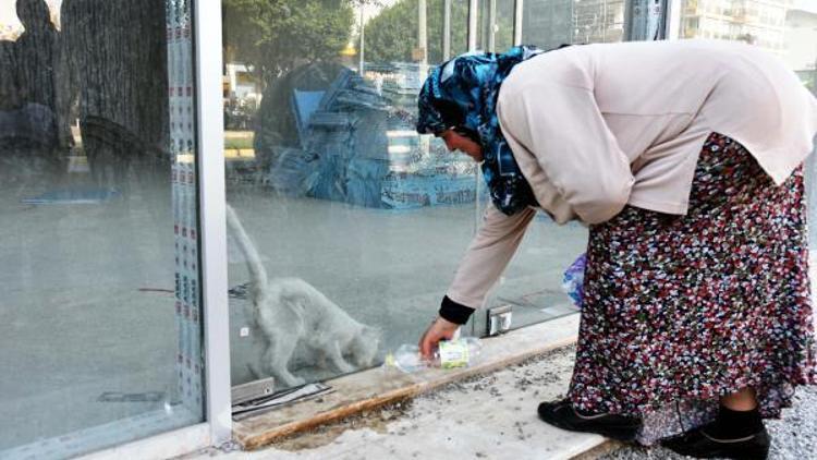 Baykalın iş merkezinde kedi kurtarma operasyonu