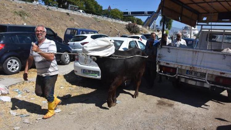 Kurban pazarları ve kesim yerlerinde temizlik başladı