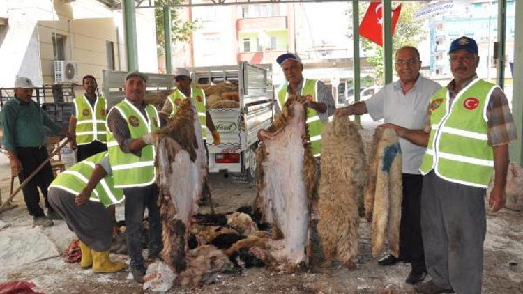 İslahiye THK, bin 700 deri topladı