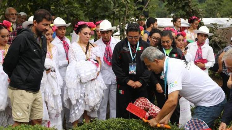 Arhavide bayram ve festival coşkusu