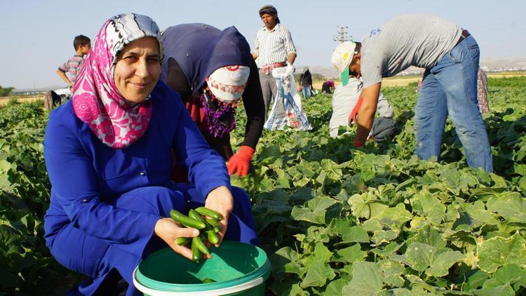 Ninesinin tarifiyle iş hayatına atıldı