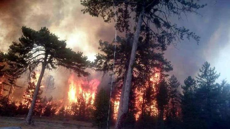 Boludaki orman yangını söndürüldü (3)