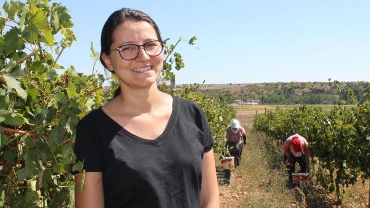 Edirnede bağ bozumu başladı