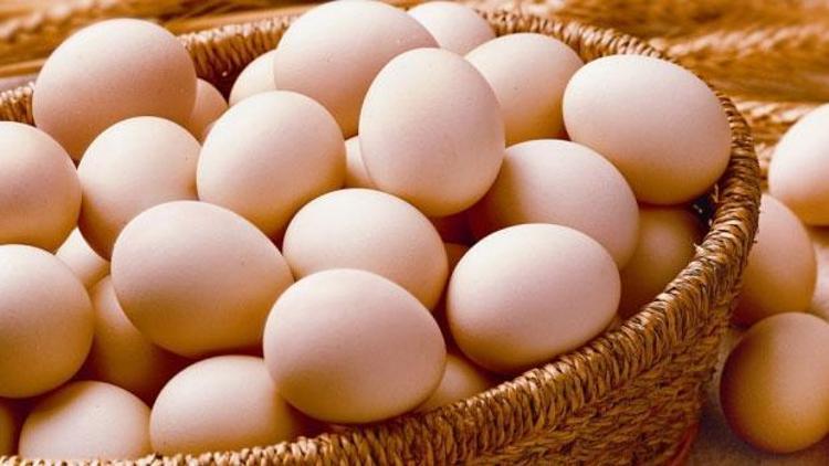 Yumurtalarımızda fipronil bulunmaz