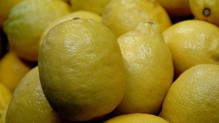 İklim şartlarından verimi düşen limon el yakacak