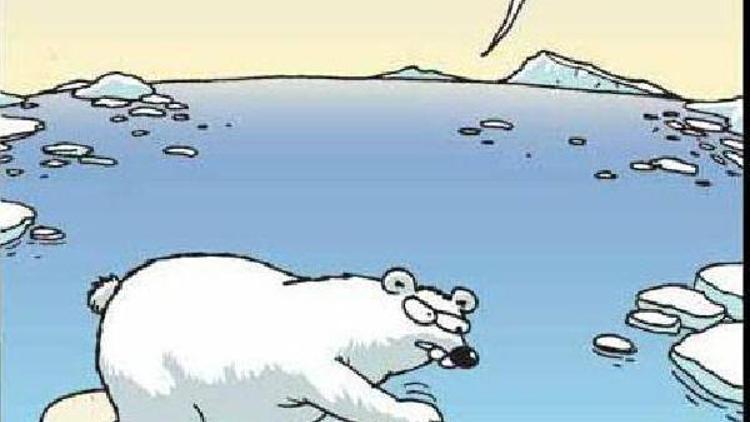 Türkçe Dersi Öğrenci Çalışma Kitabı’nda kutup ayılı karikatüre tepki