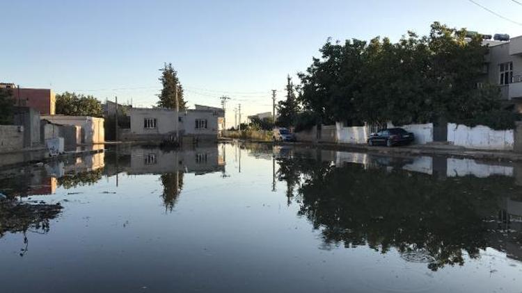 Taban suyu yükseldi, Suruç Venedike döndü