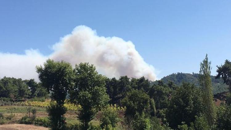 Suriyenin Türkmendağı bölgesinde orman yangını