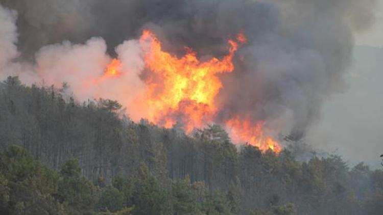 Kütahyada Orman yangını(2)