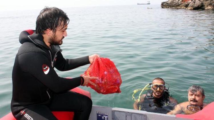 Zonguldakta mavi bayraklı plajda temizlik