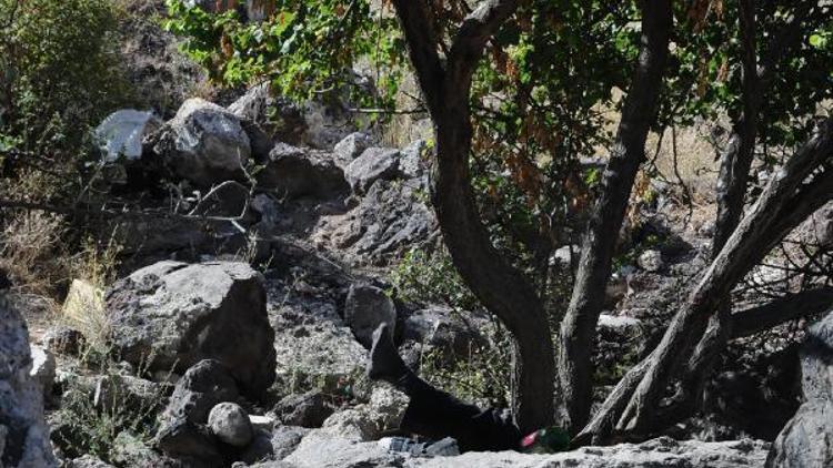 Nevşehir’de ağaçlık alanda erkek cesedi bulundu