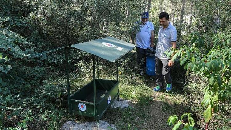 Yemek artıklarıyla sokak hayvanlarının karnını doyuruyorlar