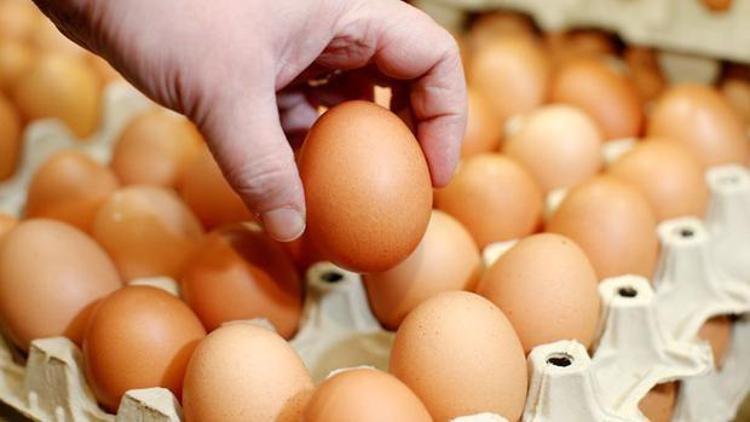 15 yumurta için 15 bin lira ceza geldi