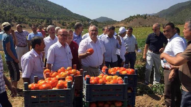 Milletvekili Önal, hasat yapan çiftçileri ziyaret etti