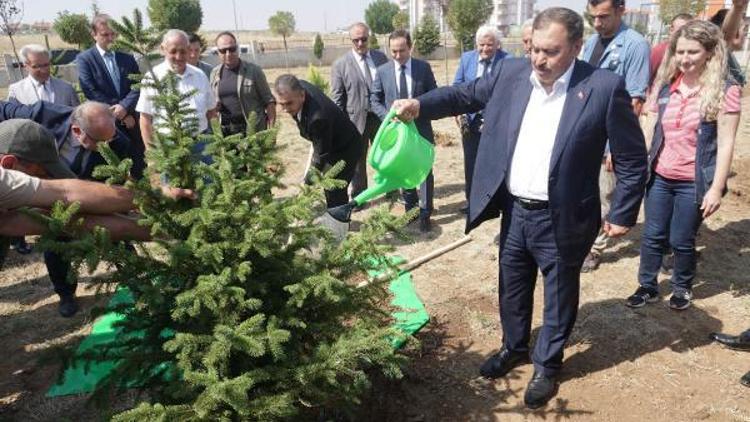 Eroğlu: Bu yıl 4 milyar fidanı dikerek rekora imza atacağız