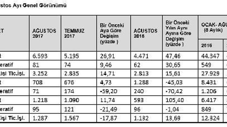 Ağustos’ta kurulan şirket sayısı yüzde 26.91 arttı