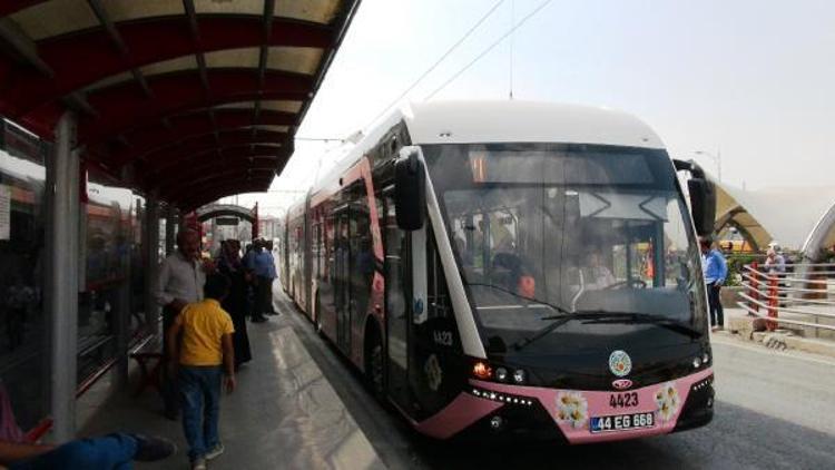 Malatya’da ‘pembe trambüs’ dönemi başladı