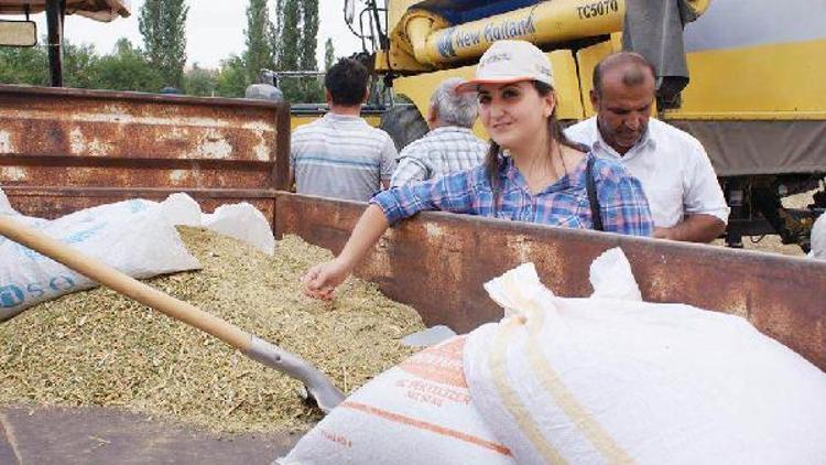 Kinoa hasadı yüz güldürdü