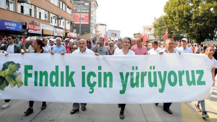 CHPnin Fındık yürüyüşü ikinci gününde (2)